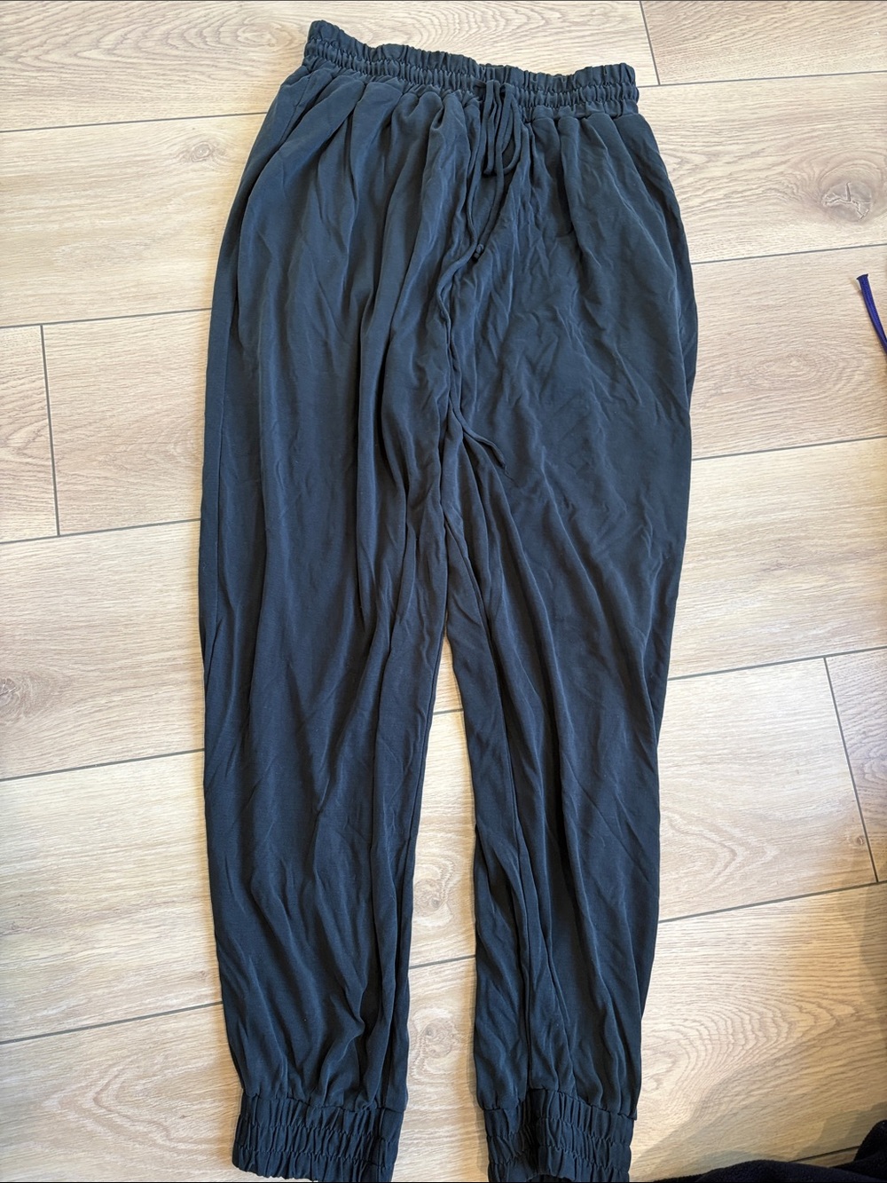 Naked zebra joggers